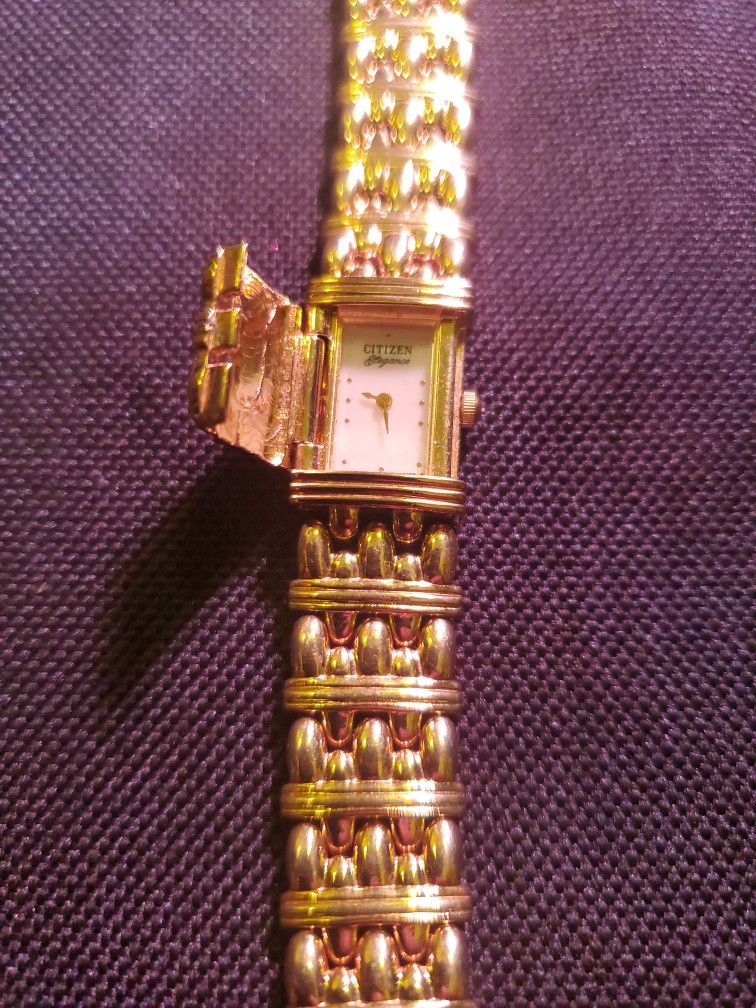 Citizen Hidden Watch