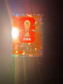FIFA world cup panini sticker
