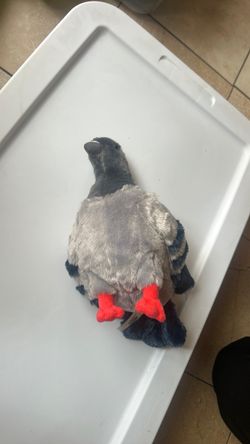 Stuffed animal