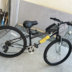 Nishiki Bike 