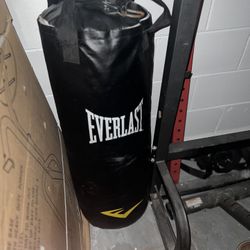Everlast Boxing Bag 