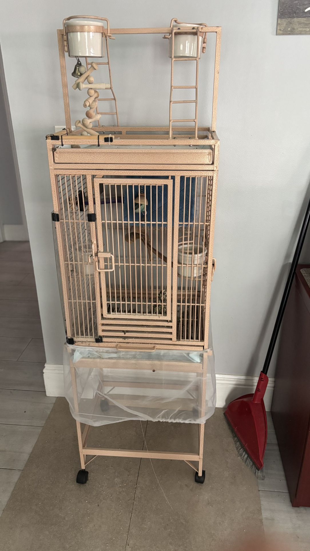 Metal Parrot Cage / The Real Deal/O.B.O. Must Sell Parrot Not Included