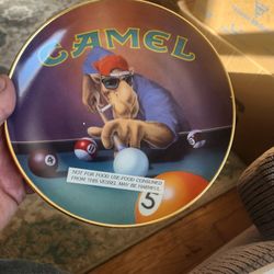 Brand New Collectors Plate By Camel
