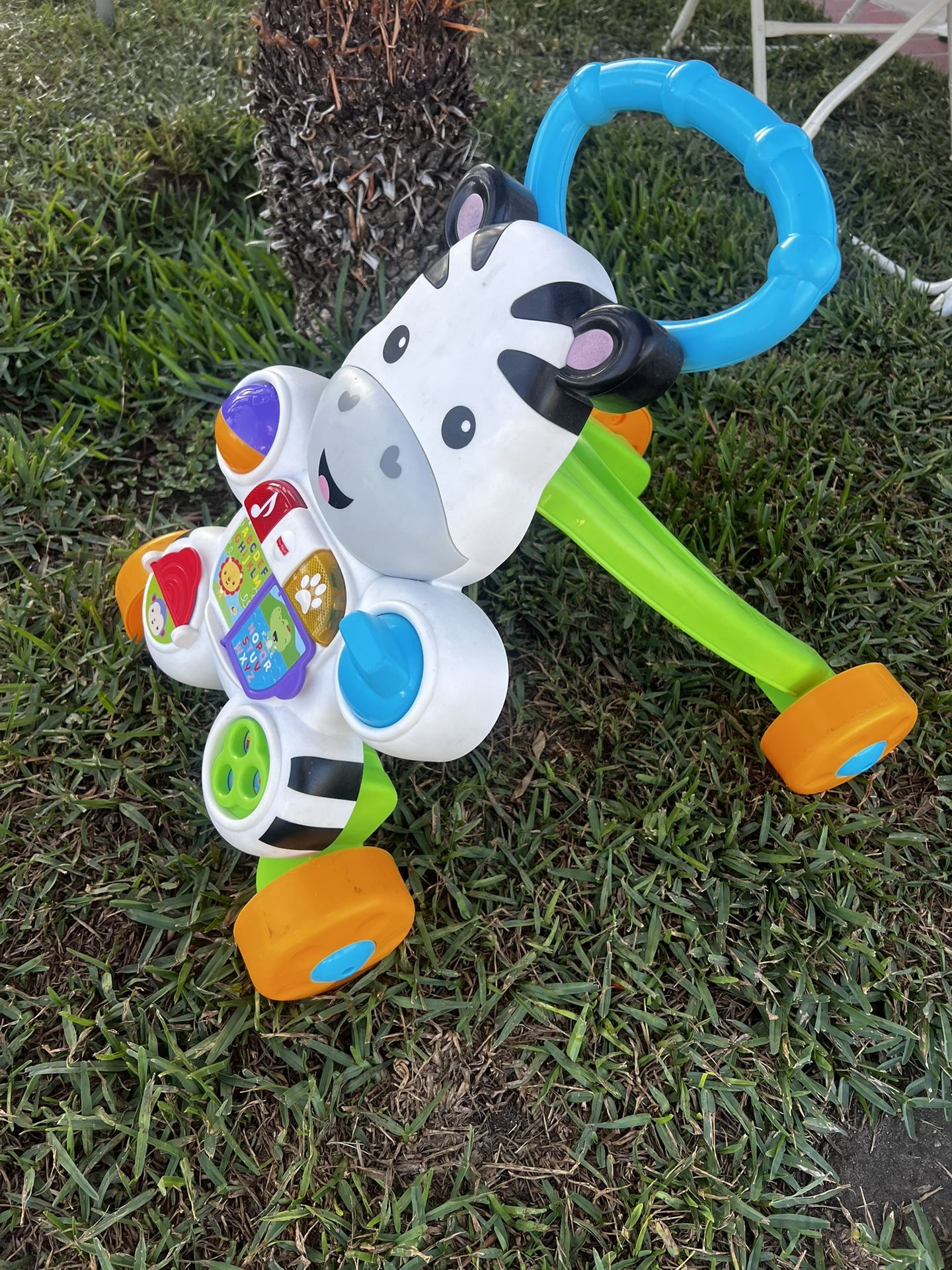Toddler Walker