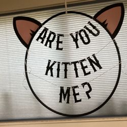 "Are You Kitten Me?" Themed Party Set 
