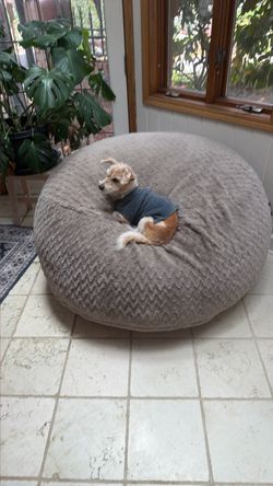Large Round Bean Bag Chair