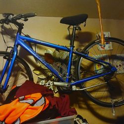 Blue Trek 7.3 FX Hybrid Bicycle