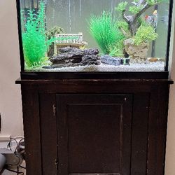 Fish Tank With FISH