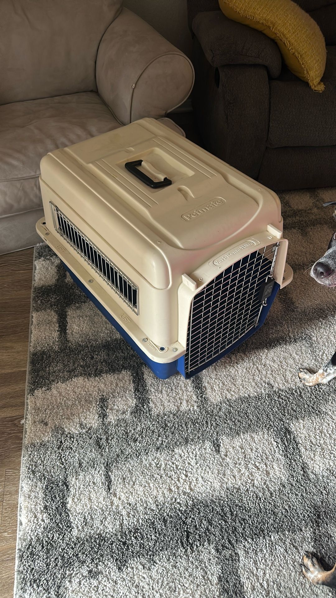 Medium Sized Kennel
