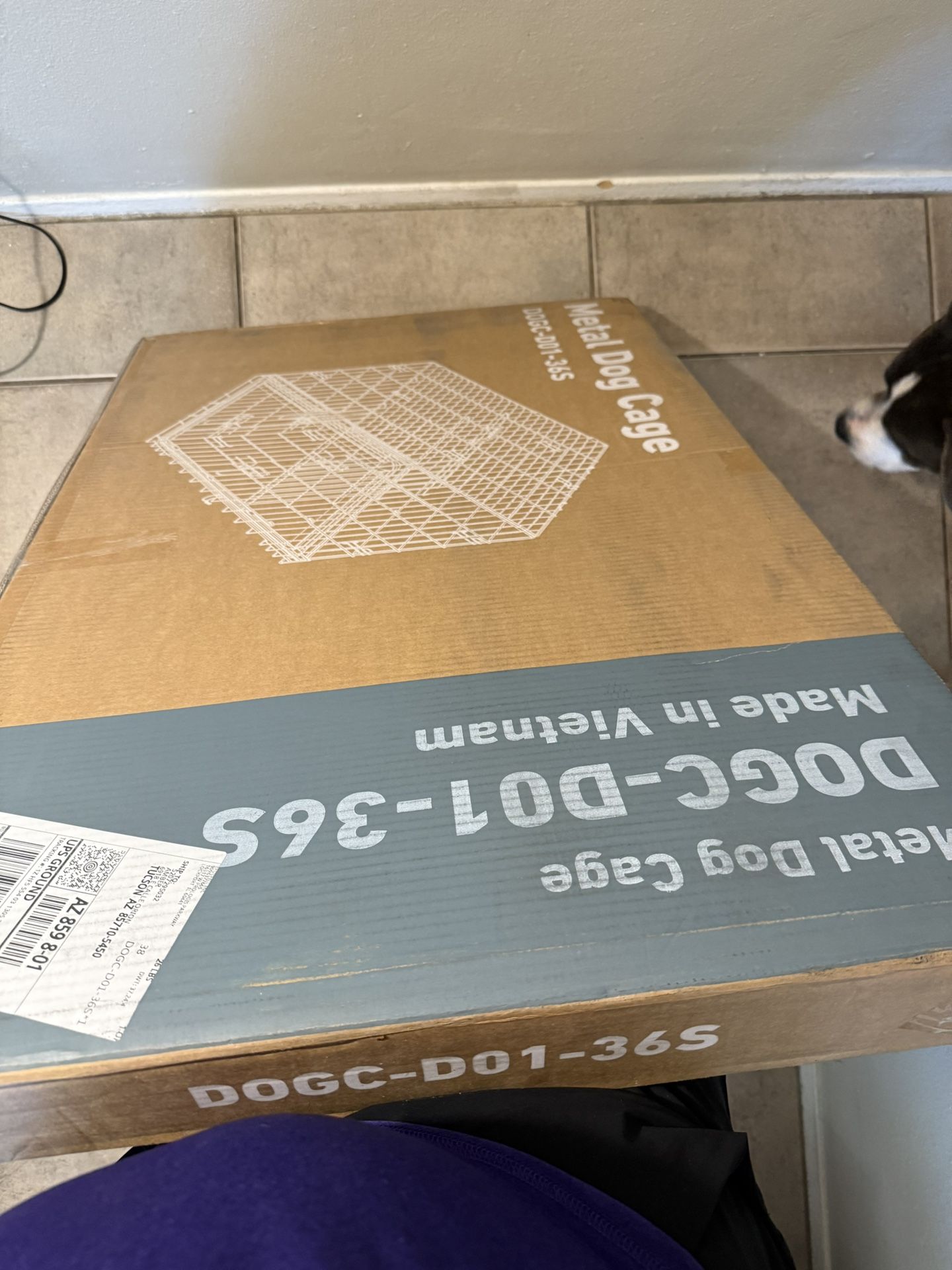 Large Dog Cage