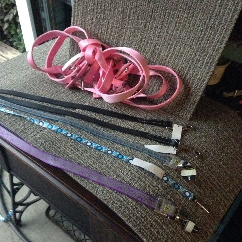 Dog collars and leashes