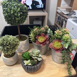 Artificial Succulents