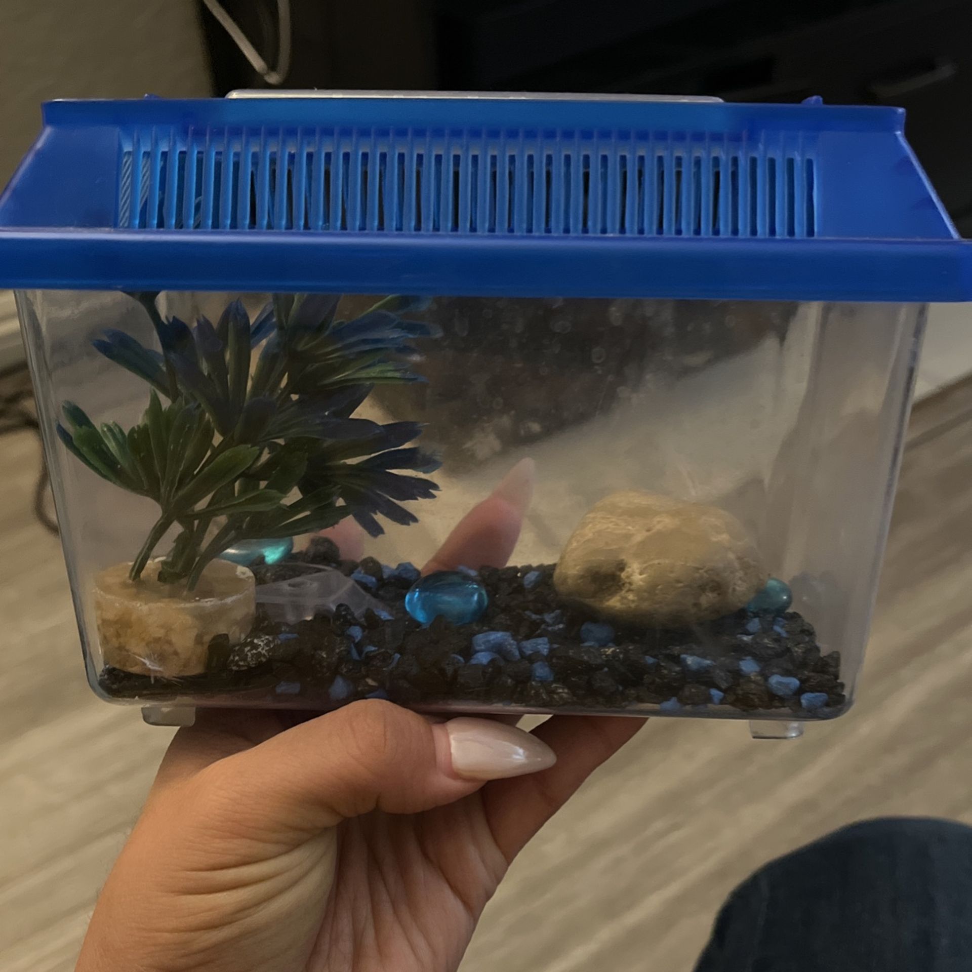 Mini Tank