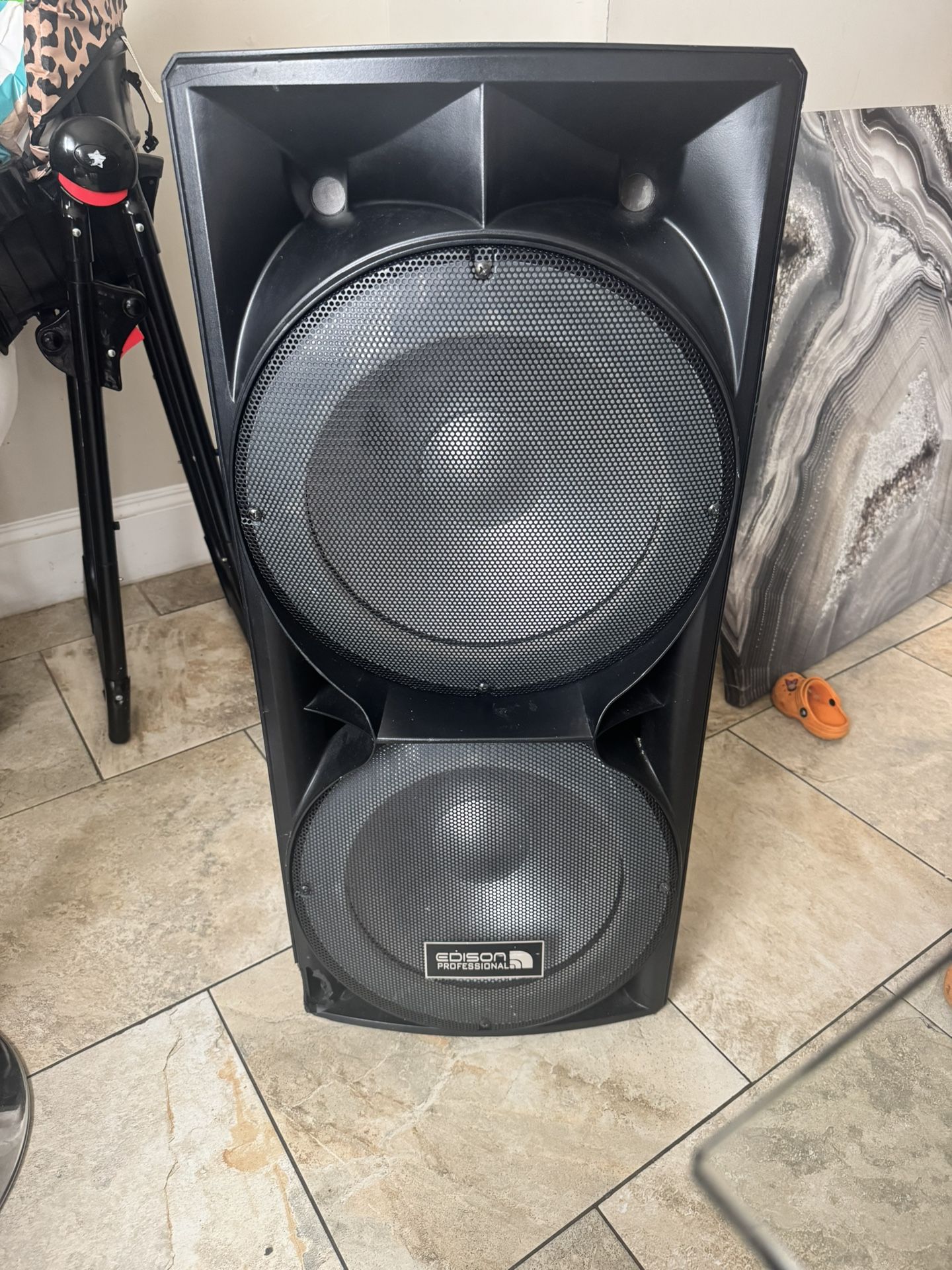 Edison Professional BT Speaker