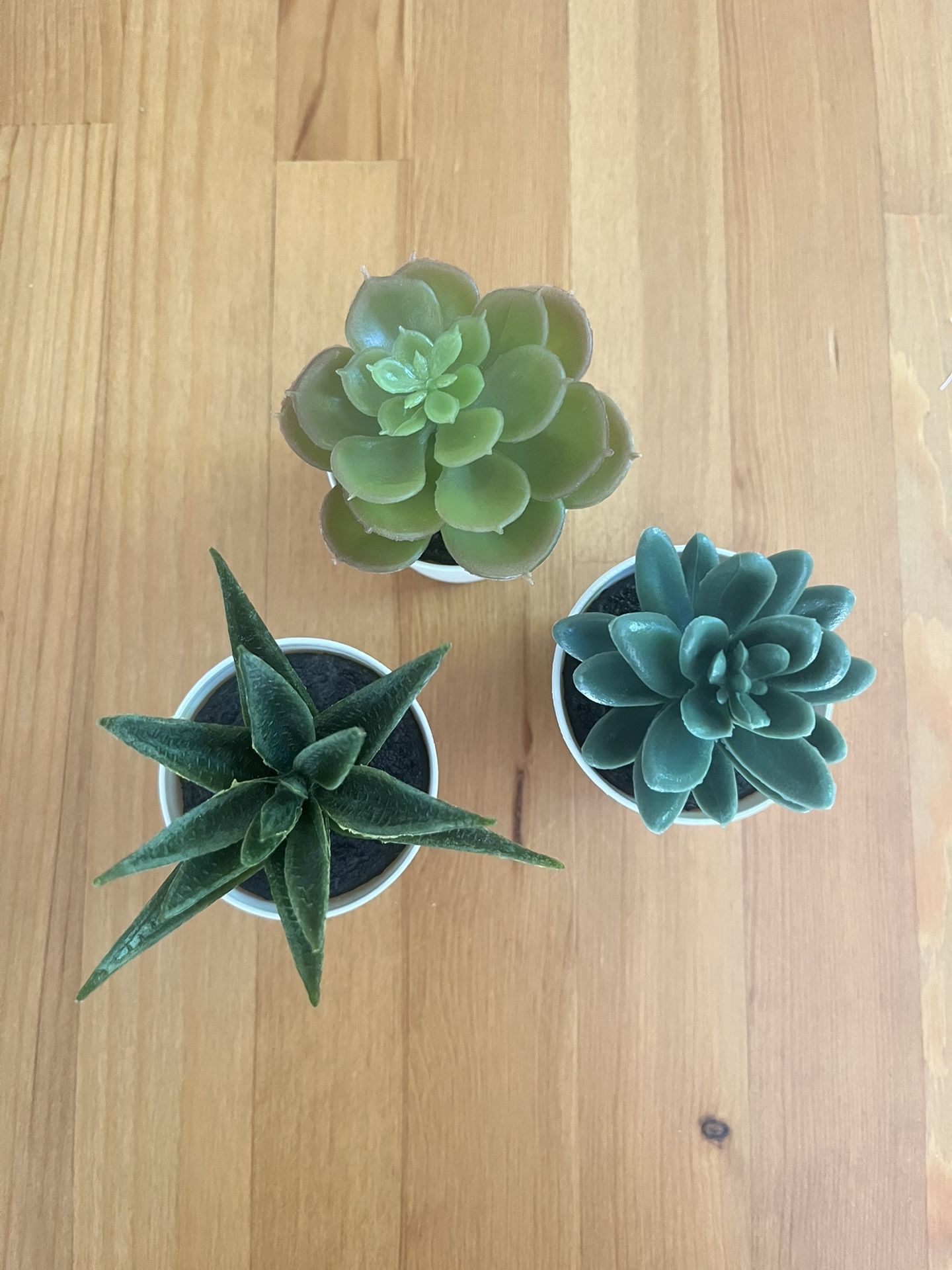 Succulents, Artificial, Set Of 3