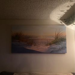 Picture- Bran New  30x60