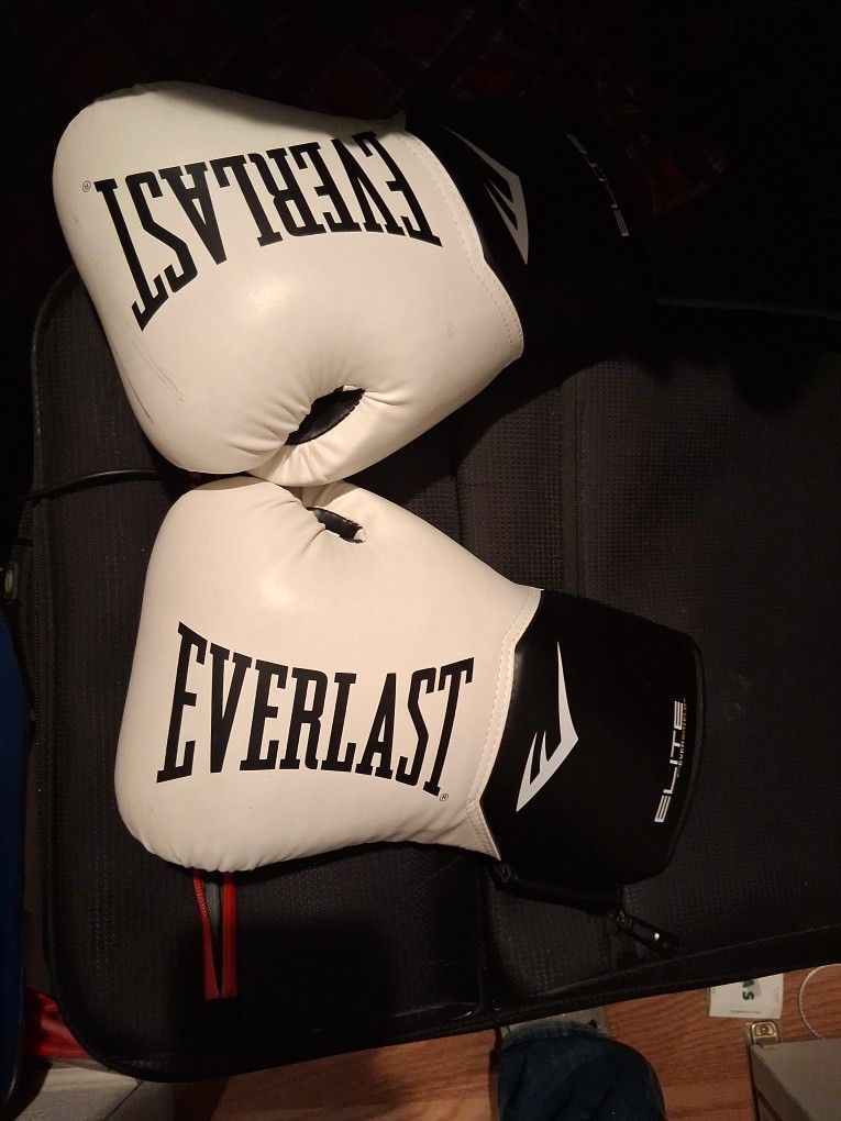 Everlast Elite 16oz