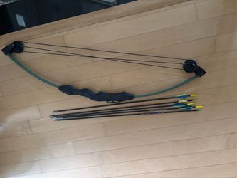 Bow and Arrow Set