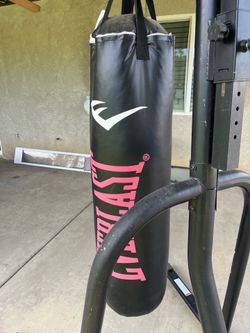 Everlast punching bag / speed bag combo