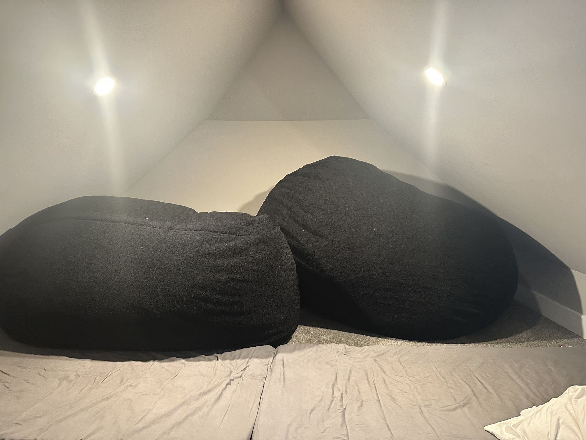 HUGE beanbags