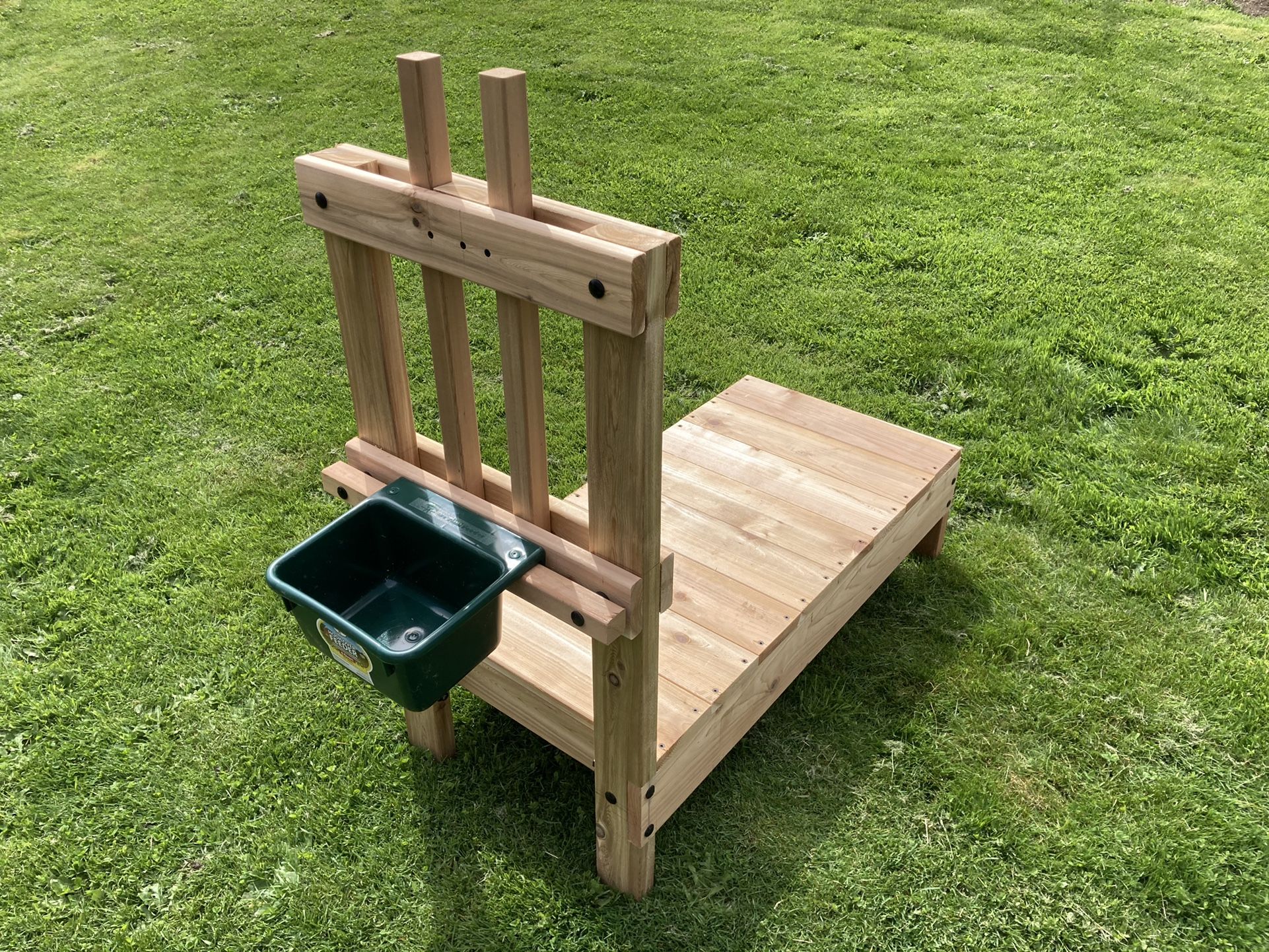 Goat Milking Stand