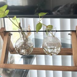 Wooden Propagation Station 