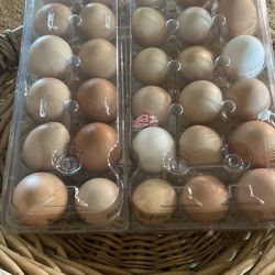 Farm Raised Organic eggs