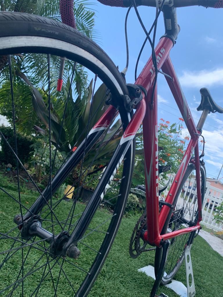 trek bicycle ventura Jamis Sport Shimano Sora 8 Speed It features a lightweight aluminum frame with mounts for a rack and fenders Trek Precaliber 20 - Bicycle
