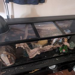 Bearded Dragon/Lizard/Snake Terrarium Starting Kit