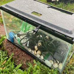 Fish Tank 10 Gallons Comes With Accessories Price 20$.  Pick Up.  E 72.  and.  Grandview. E.  Tacoma 