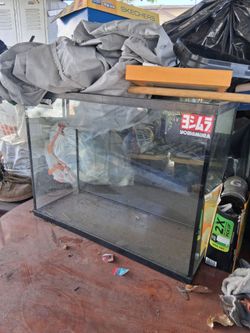 Reptile tanks