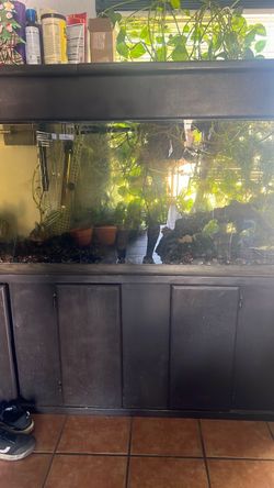 150 gallon piranha tank