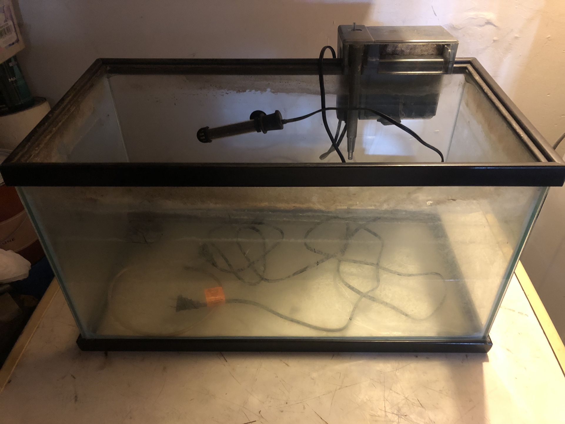10 GALLON GLASS FISH TANK