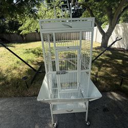Bird Cage 