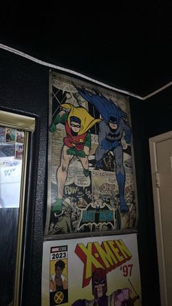 Batman and robin poster