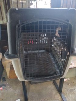 Large dog kennel