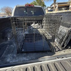 Dog cage 