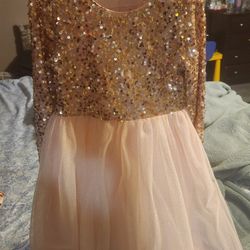 Pink Gold Sparkle Dress
