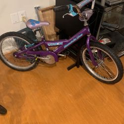 Trek (kid) Mountain Lion