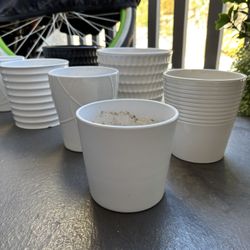 Indoor Plant Pots