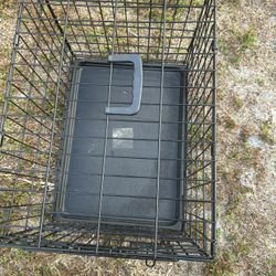 PET Cage 24 ‘’