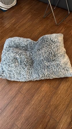 dog bed