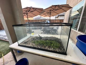 40 gallon breeder fish/reptile tank