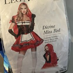 Costume includes Aprin dress With Attached Hood. 