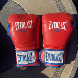 Everlast Powerlock Gloves