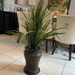 Silk plant