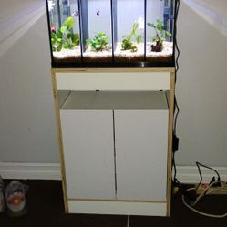 10 Gallon Bettas  Fish Tank, Canister Filter, Brand New Light , New Custom Cabinet , Fish Not Included $265 Obo
