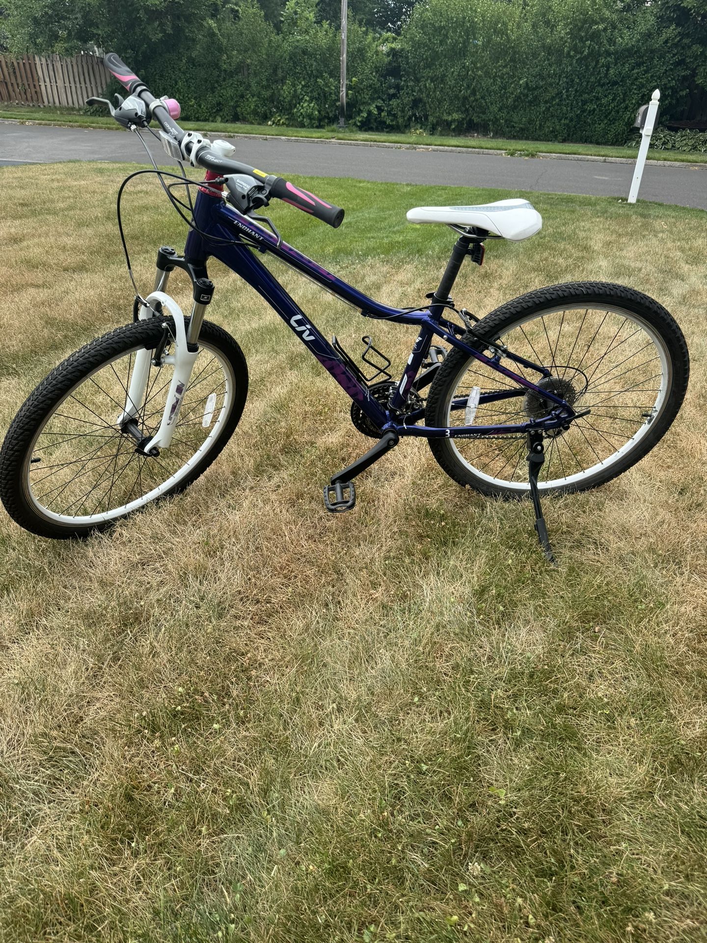 Giant Women’s Bicycle ( small frame)