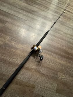 (Murrieta) Accurate Valiant / Daiwa Seagate 20h conventional star drag salt water fishing combo.