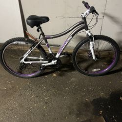 Ladies Genesis whirling Bike